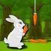 Lol Rabbit