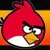 Crazy Angry Birds