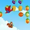 Jumping Squirrel