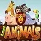 Lost Animals