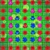 Flower Burst