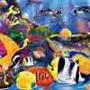 Hidden Stars-Aquatic Creature