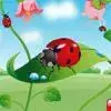 Hidden Bugs