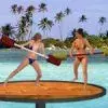 Beach Cat Fight